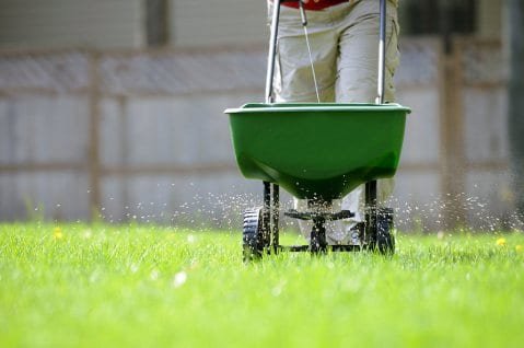 how to fertilize lawn