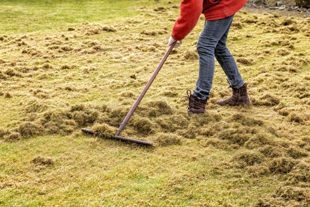 de thatching how to do so effectively