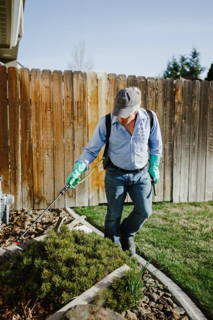 routine pest control experts