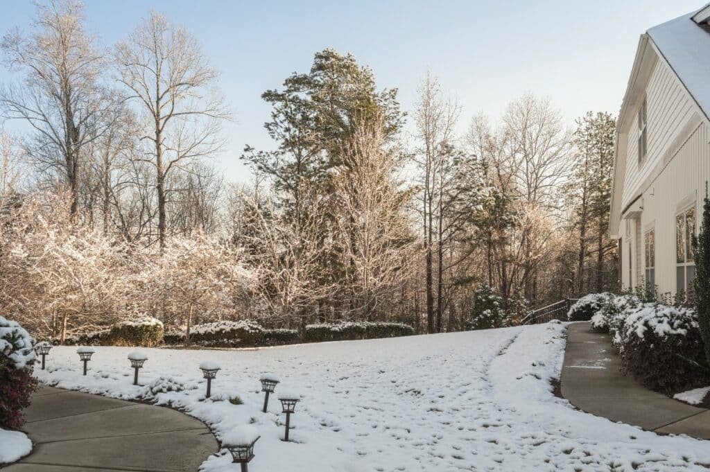 is routine lawn care and routine perimeter pest control year round?