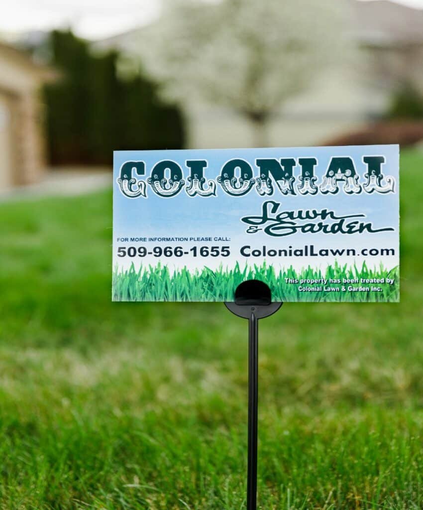 What services are typically included in lawn care packages