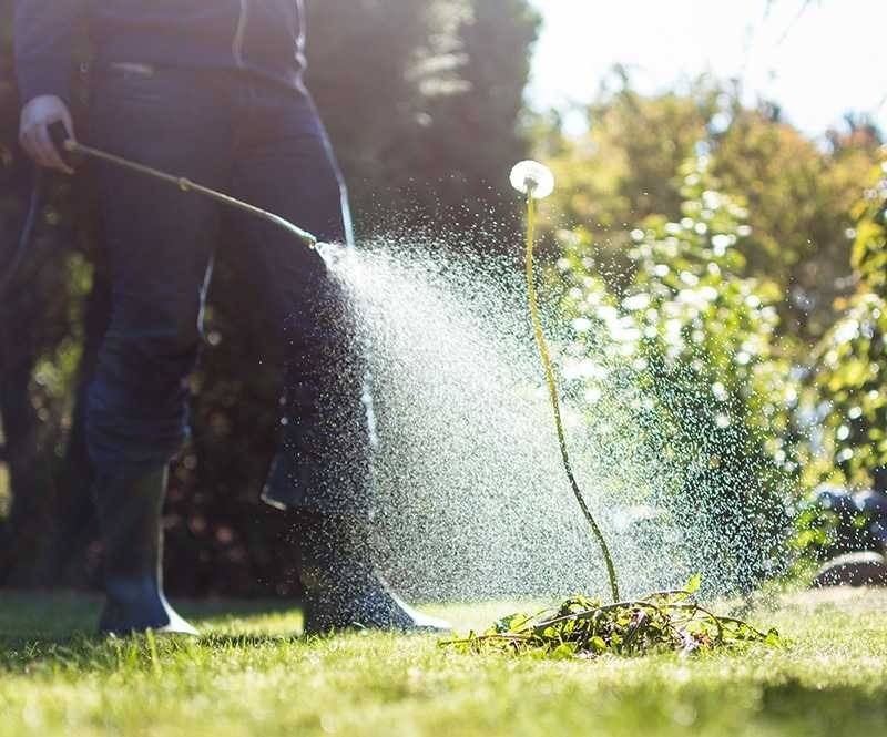 weed control Colonial Lawn and Garden