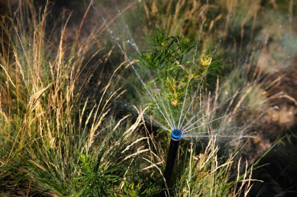 hassle free sprinkler maintenance Tri Cities Colonial Lawn and Garden