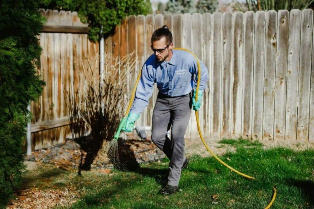 seasonal lawn treatment from Colonial Lawn & Garden