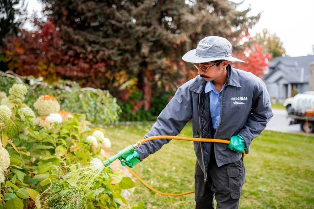 Colonial Lawn & Garden complete lawn care services