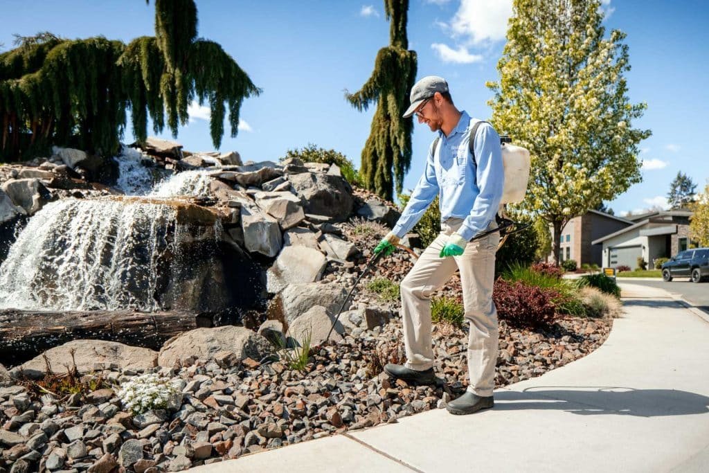 How Pre-Emergent Weed Control Works in Yakima by Colonial Lawn & Garden