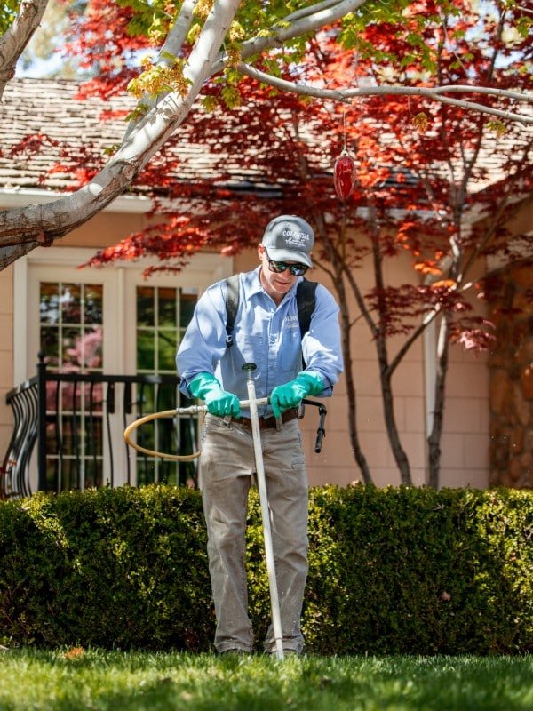 Pre-Emergent Weed Control by Colonial Lawn & Garden