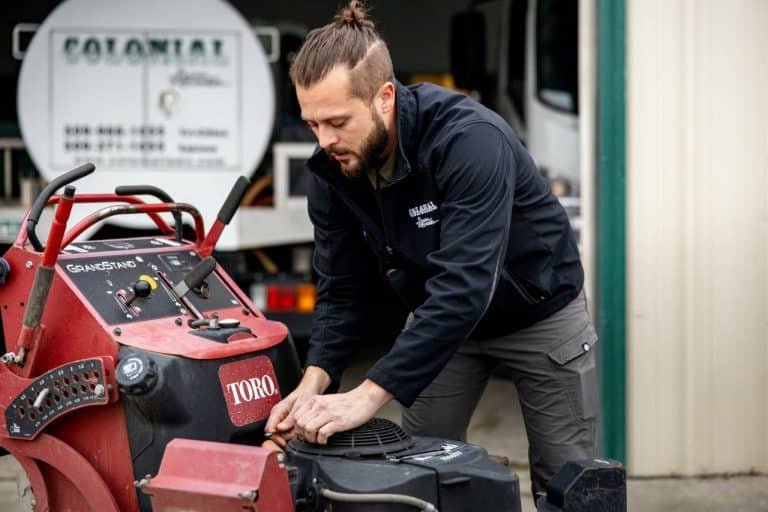 professional lawn care program