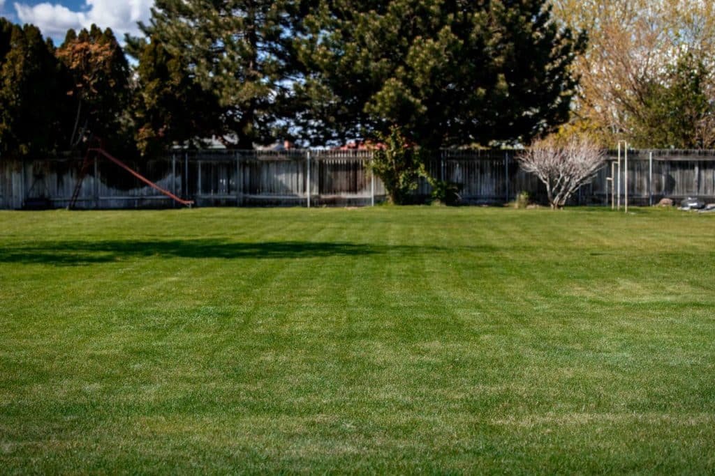 a photo of a green, healthy lawn