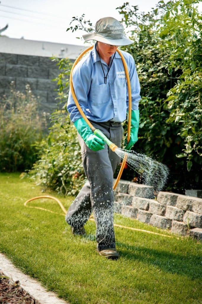 seasonal lawn maintenance