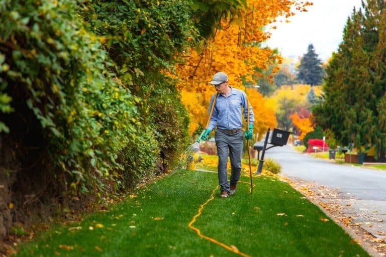 fall weed control application