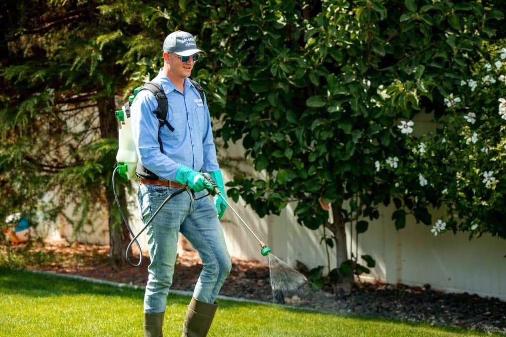weed control application