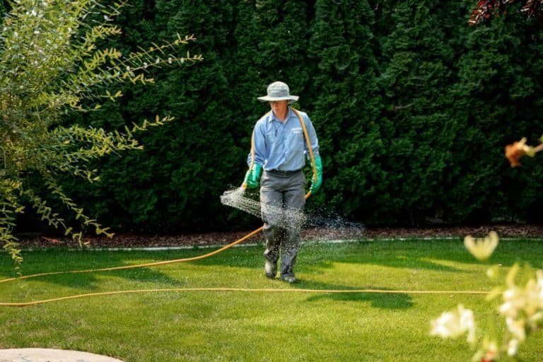 summer lawn care tips in Tri-Cities