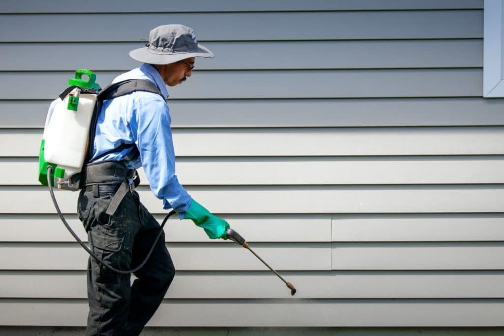 professional pest control service