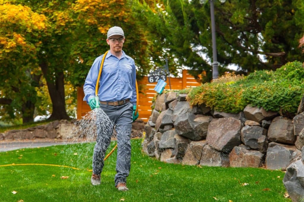 weed control treatment in the fall